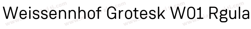 Weissennhof Grotesk W01 Rgular字体转换